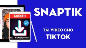 SnapTik hỗ trợ tải video TikTok không dính logo